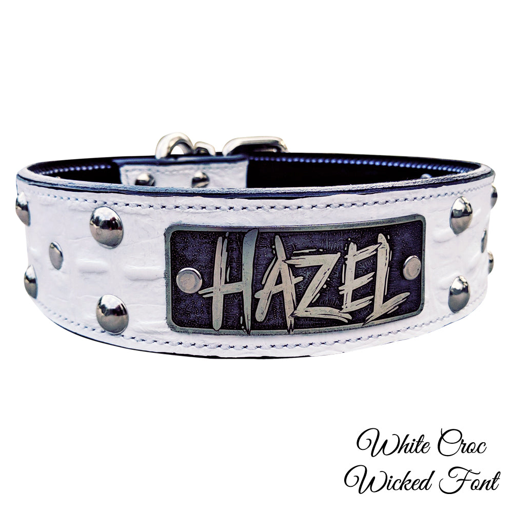 Leather Tapered Dog Collar Name Plate with Studs 2 Wide - N5