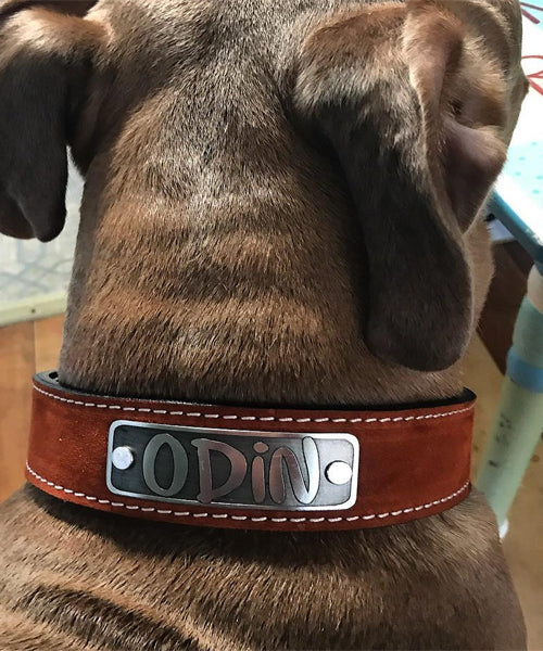 N7 - 1.5" Wide Leather Dog Collar Personalized Name Plate