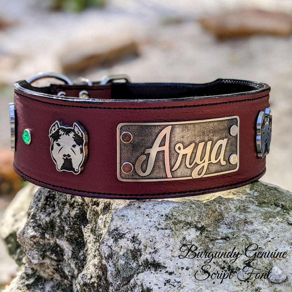 NJ15 - 2 1/2 Personalized Bully u0026 Gems Leather Collar