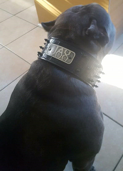 NJ1 - Collar de cuero para perros de 2,5" de ancho con púas y placa con nombre