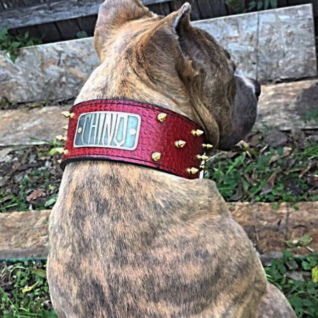 NJ1 - Collar de cuero para perros de 2,5" de ancho con púas y placa con nombre