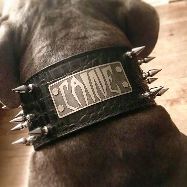 NX2 - Collar para perros de cuero con pinchos personalizado de 3" de ancho