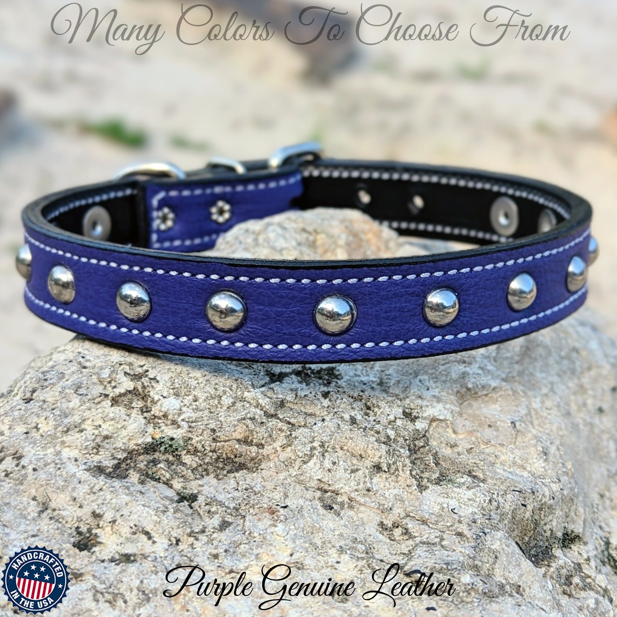 U2 - 1" Wide Studded Leather Dog Collar