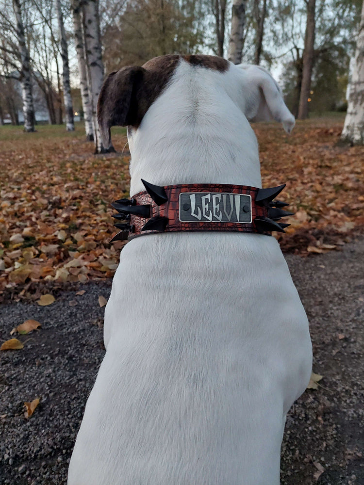 WN14 - Collar de cuero para perros de 2" de ancho con púas y placa con nombre