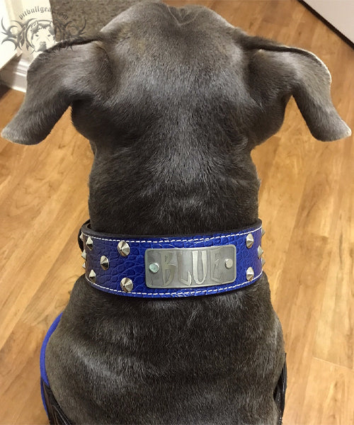 WN1 - Collar de cuero para perro de 2" de ancho con placa de identificación personalizada y tachuelas cónicas