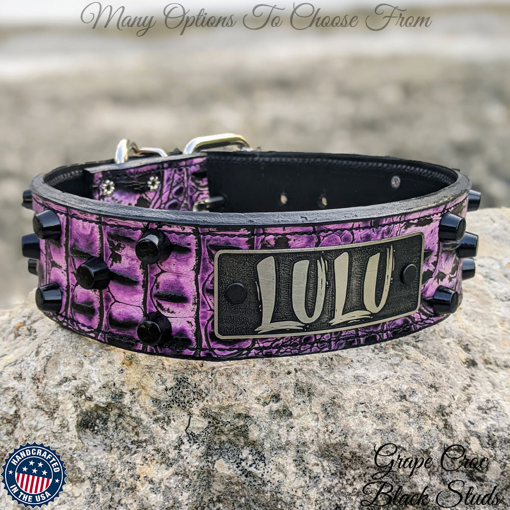 WN4 - 2" Wide Leather Dog Collar with Bucket Studs and Name Plate