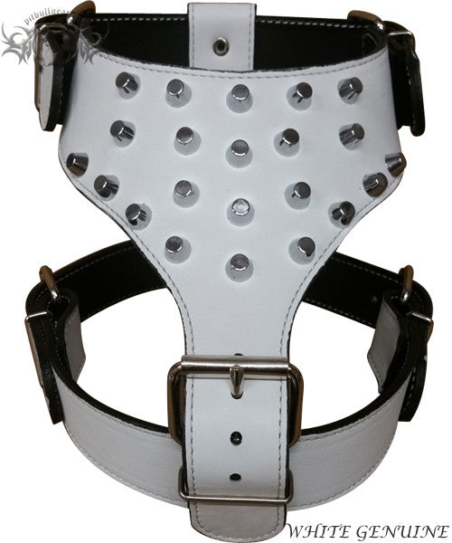 Studded leather best sale dog harness