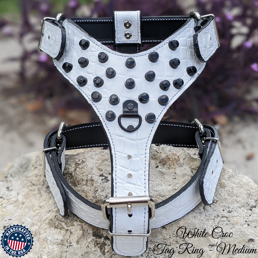 Y19 - Leather Dog Harness with Bucket Studs