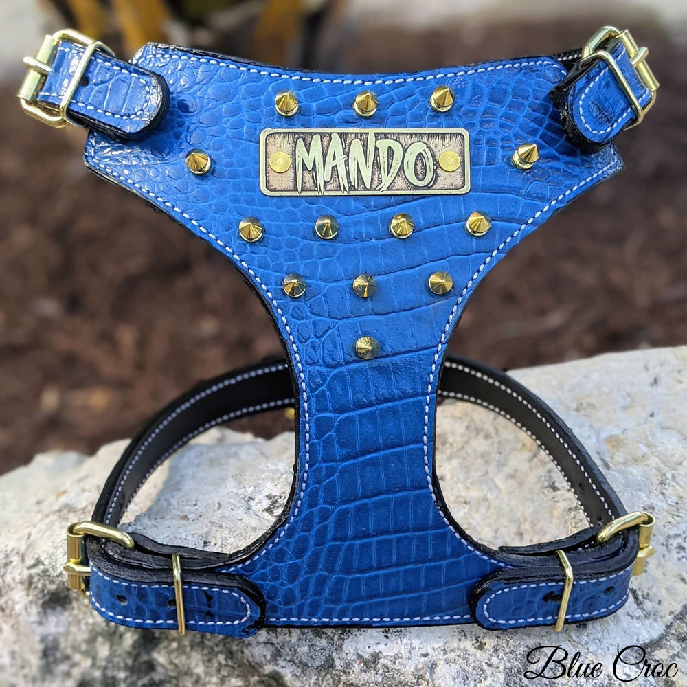 FBH3 - Arnês de couro com pontas personalizado Bulldog Francês