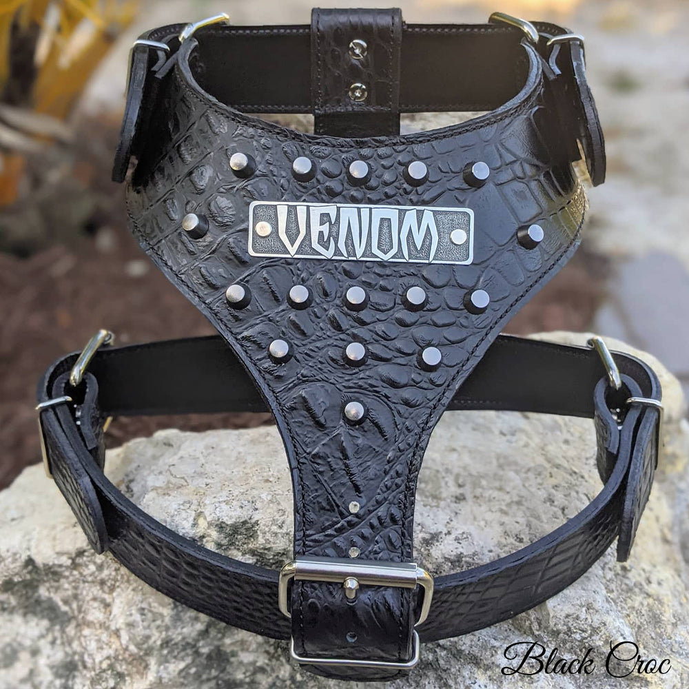 UPGRADE NAME Personalize Your Prunkhund Collar Harness or 