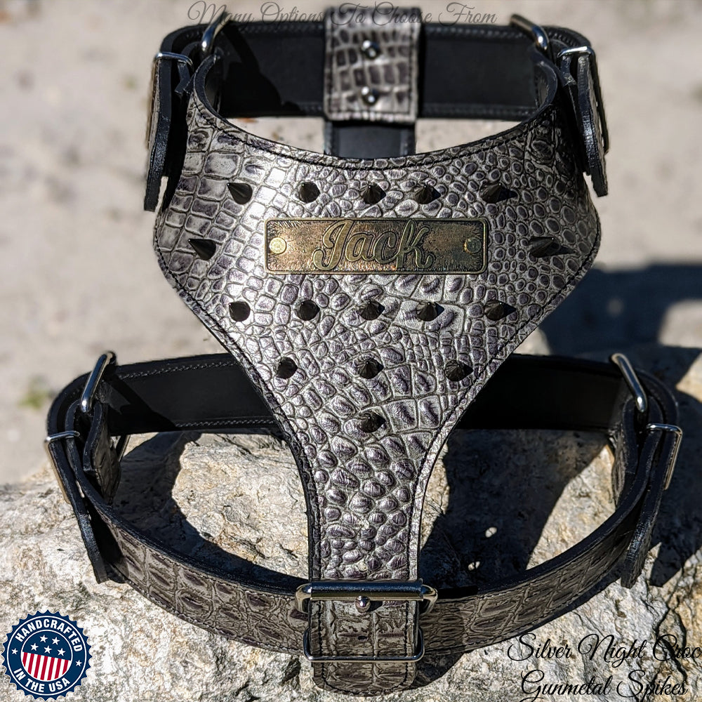 NH8 - Leather Dog Harness with Name Plate & Cone Spikes