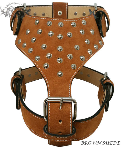 Leatheradil™ Perfect Fit Leather Dog Harness – GSD Colony
