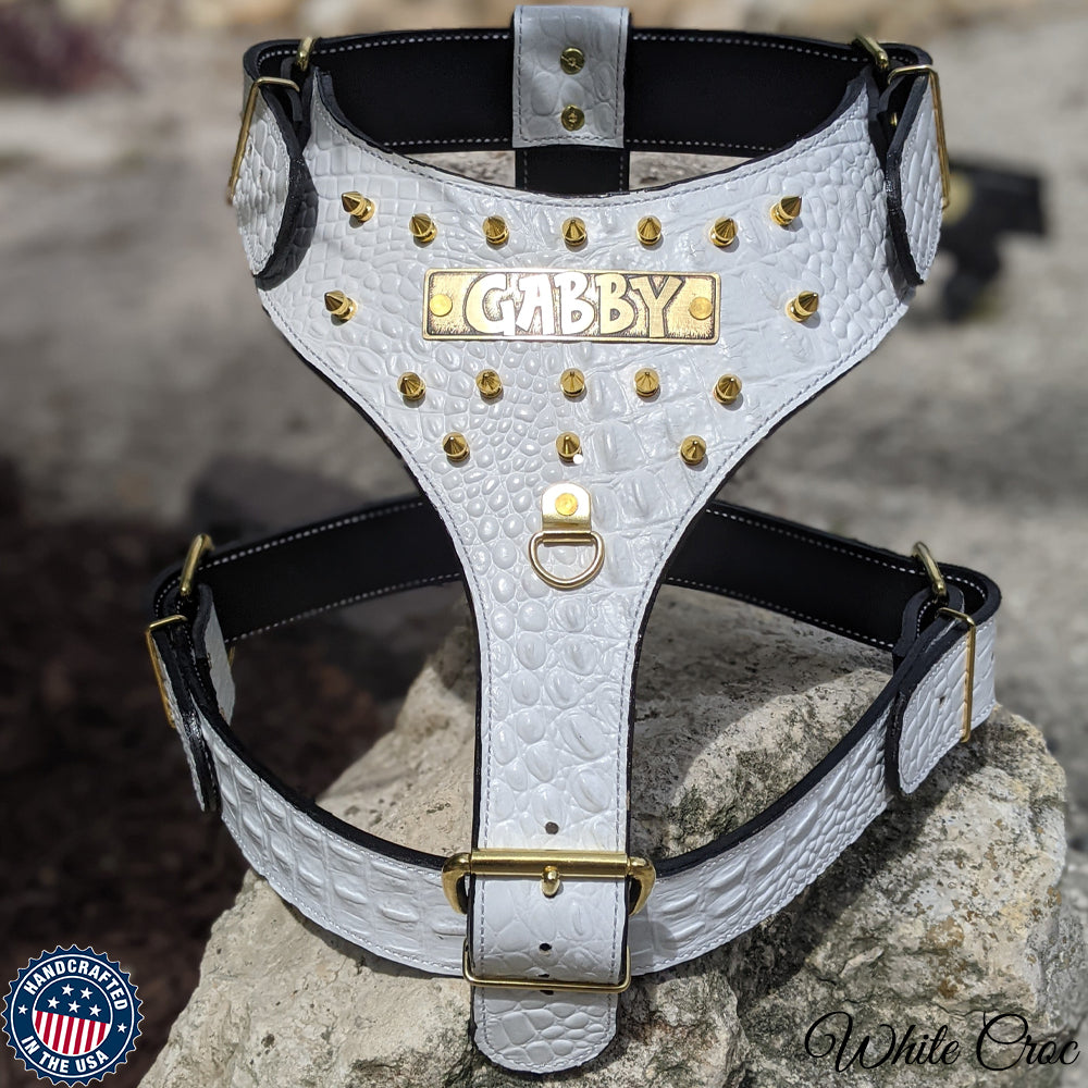 YN62 - Spiked Leather Dog Harness Personalized Name Plate