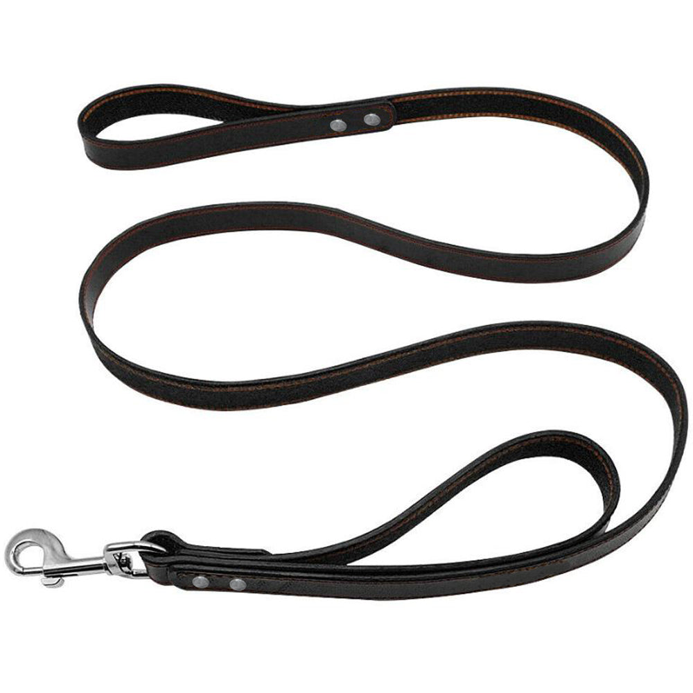 Dual handle clearance leash