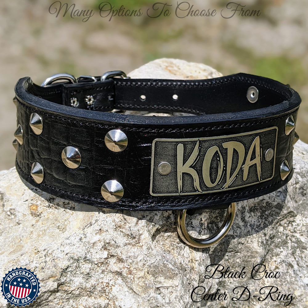 Custom dog clearance collars with name