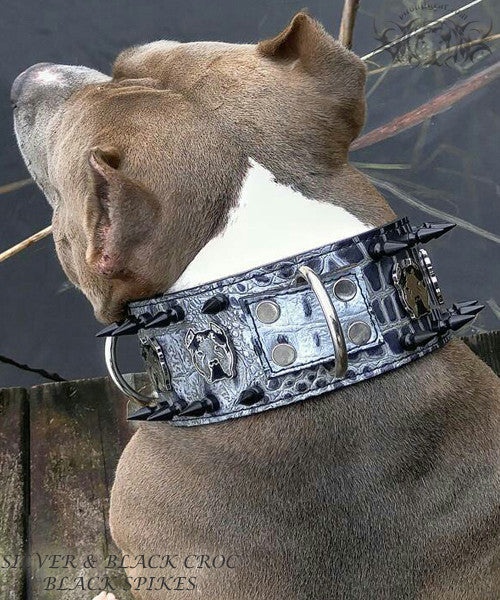 X21 - 3&quot; Bully Spiked Leather Dog Collar - 1